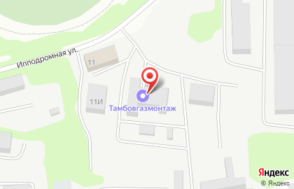 VIP РАЗБОР в Тамбове на карте