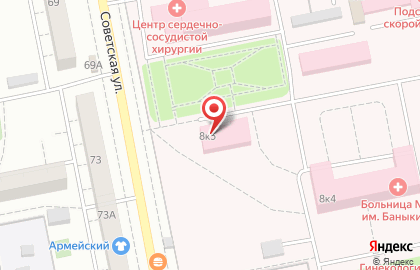 Тольяттинская городская клиническая больница №2 им. В.В. Баныкина в Центральном районе на карте