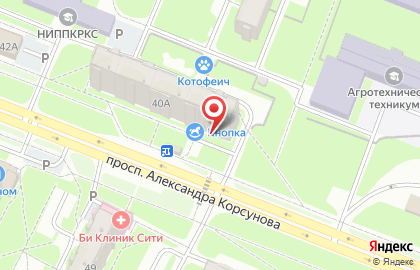 Магазин канцелярских товаров и игрушек Кнопка на проспекте Александра Корсунова на карте