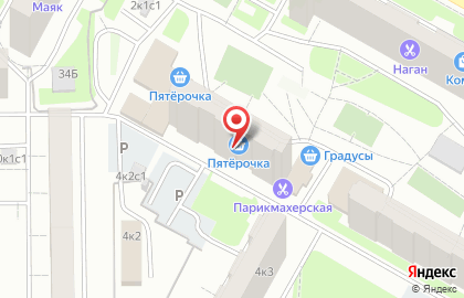 Магнолия в Отрадном на карте
