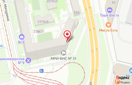 Сеть автоматизированных миниофисов Бухгалтерия на улице Мичурина на карте
