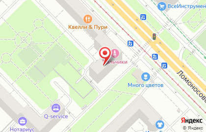 Специальная (Коррекционная) школа №1708 на Ломоносовском проспекте на карте