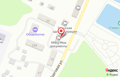 Многофункциональный центр по предоставлению государственных и муниципальных услуг в Благовещенске на карте