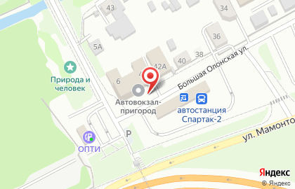 Частное охранное предприятие Аллигатор в Центральном районе на карте