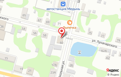 Магазин Профессионал на улице Луначарского на карте