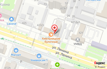 Туристическое агентство Ваш Мир на улице Ленина на карте