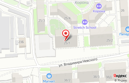 Детский развивающий центр Подсолнух на улице Владимира Невского на карте