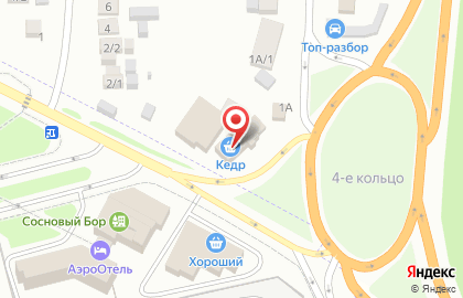 Продуктовый магазин Кедр на улице Ленина на карте