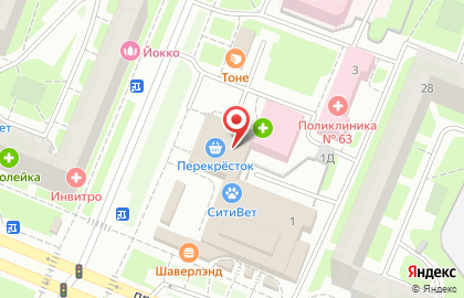 Ветеринарная клиника СитиВет на улице Симонова на карте