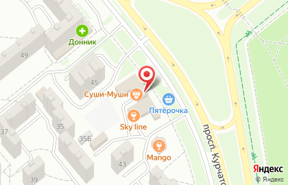 Магазин Плюшкин на проспекте Курчатова на карте