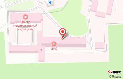 Чистопольская центральная районная больница на улице Вишневского на карте