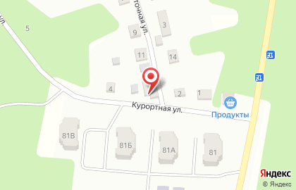 Продуктовый магазин на Курортной улице на карте