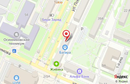 Компания Губернские окна на улице Победы в Осинниках на карте