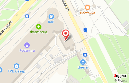 Сервисный центр Профессионал на проспекте Дзержинского на карте