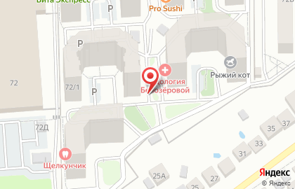 Магазин Лисёнок в Коминтерновском районе на карте