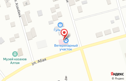 Участковый пункт полиции с. Жана-Аул на карте