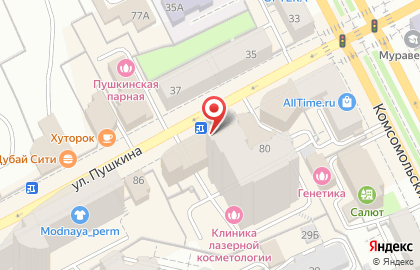 Мастерская по ремонту и пошиву одежды Елена на улице Пушкина на карте