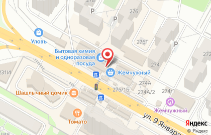 Цветочный магазин Магнолия на улице 9 Января на карте