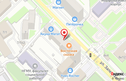Парикмахерская ВАСИЛЕК в Заельцовском районе на карте