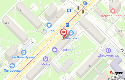Мясная лавка в Новосибирске на карте
