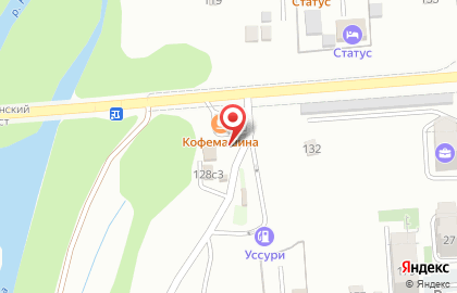 Шиномонтажная мастерская на улице Пушкина на карте