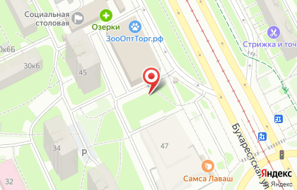 Аптечка для Вас на Бухарестской улице на карте