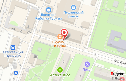 Диана, Московская область в Пушкино (ул Тургенева) на карте