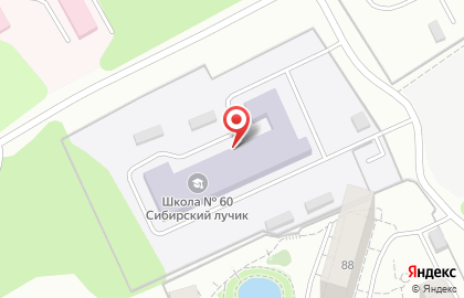 Специальная коррекционная начальная школа №60 Сибирский лучик в Новосибирске на карте