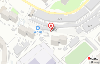 Гостиница для кошек Багира на карте