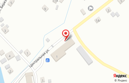 Продовольственный магазин Апельсин на Центральной улице на карте