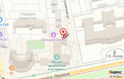 Свердловский областной краеведческий музей Библиотечный информационный центр на площади 1905 года на карте