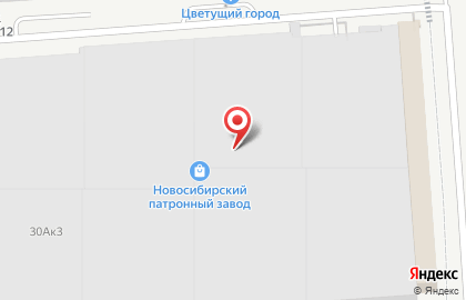 Торговый дом ПромИз на площади Карла Маркса на карте