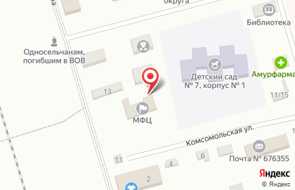 Многофункциональный центр по предоставлению государственных и муниципальных услуг в Благовещенске на карте