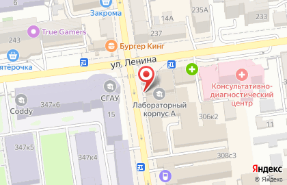 Пиццерия Sinyora на улице Пушкина на карте