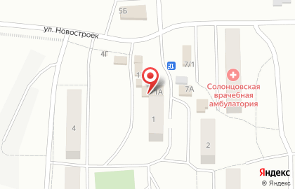 Лукошко, пос. Солонцы на карте