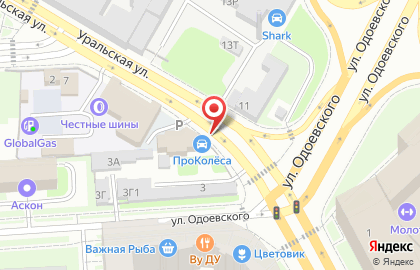 Магазин шин и дисков Prokolesa.spb.ru на карте