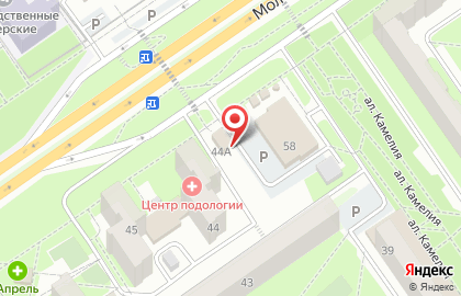Салон-парикмахерская Harizma в микрорайоне Жукова на карте