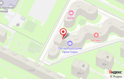 Петербургские Просторы на карте