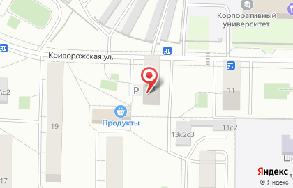 Магазин мясной продукции на Криворожской, 13 ст2 на карте