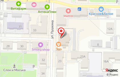 Компания Непроспи на улице Пушкина на карте