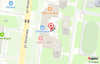 Здоровье на улице Кочетова на карте