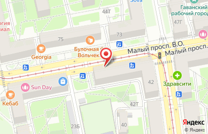 Аптека ЛенОблФарм в Василеостровском районе на карте