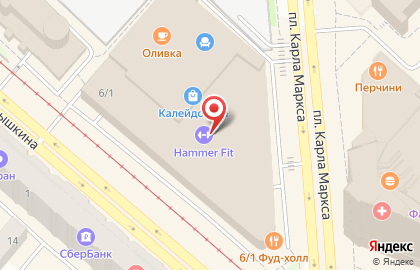 Магазин систем безопасности и умного дома ДОМОТЕКА на площади Карла Маркса на карте