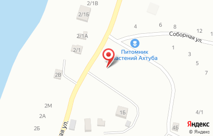 Питомник растений Ахтуба на карте