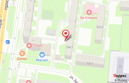 Магазин зоотоваров Дама с собачкой на улице Зелинского на карте