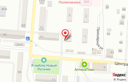 Продуктовый магазин на Центральной улице на карте