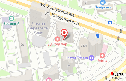 Виртуозы на улице Кошурникова на карте