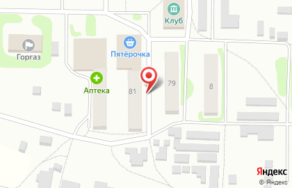 Супермаркет Пятёрочка на Центральной улице на карте