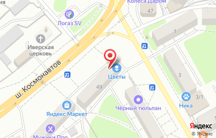 Магазин Умный заяц на шоссе Космонавтов на карте
