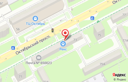 Ветеринарная клиника Рекс на Октябрьском проспекте на карте